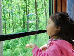 -合肥滨湖国家森林公园