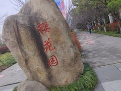 -高东镇樱花园