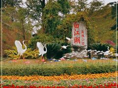 -广州白江湖森林公园