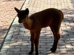 -水上乐园·欢乐世界