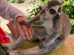 -水上乐园·欢乐世界