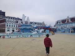 -芜湖新华联大白鲸海洋公园