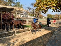 -西安秦岭野生动物园
