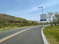 -羊山湖公园