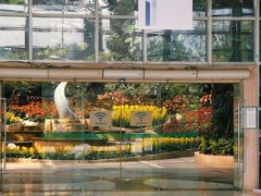 -南山植物园