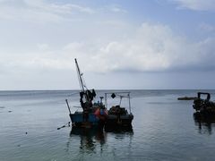 -养马岛旅游度假区