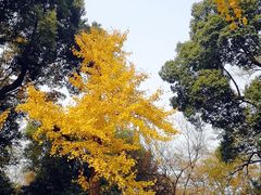 -无锡惠山寺