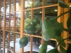 -佛有缘素食馆·荔湾老字号(陈家祠首店)
