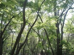 -廊坊市自然公园