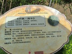 -广西壮族自治区药用植物园
