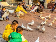 -王府井奥莱临潼小镇(临潼店)