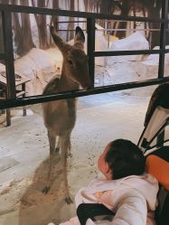 -酷嗒动物文化乐园(cutezoo西溪乐天城店)