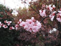 -堤角公园