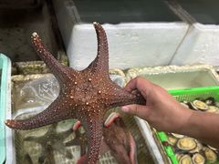 -外伶仃岛海鲜市场