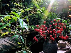 -The Flowers Coffee(南山店)