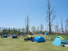 -上海长兴岛郊野公园