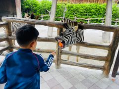 -上海野生动物园老虎餐厅