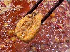 -扎起市井老火锅(乐山总店)