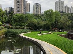 -龙头寺公园