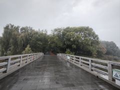 -大兴滨河森林公园