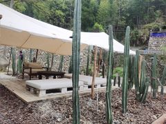 -MOJ coffee(瓯海泽雅水碓坑店)