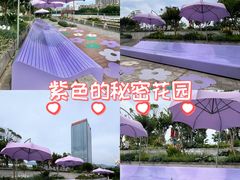 -光明港公园