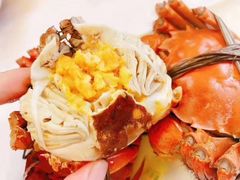 蟹状元大闸蟹-蟹臻鲜阳澄湖大闸蟹(889广场店)