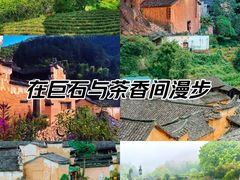 -杨家堂村