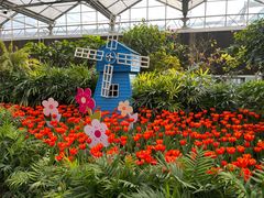 -南宫五洲植物乐园