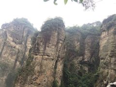 -雁荡山风景名胜区-小龙湫