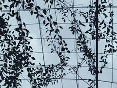 -厦门园林博览苑