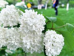 -玄武湖景区-情侣园游乐场