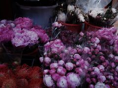 -循礼门鲜花花市(武汉循礼门店)