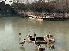 -西安浐灞国家湿地公园