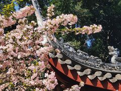 -棠湖公园