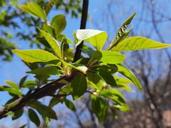-沈阳辉山风景区