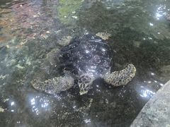 -嘉兴海底世界