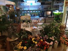 -Jo's Garden