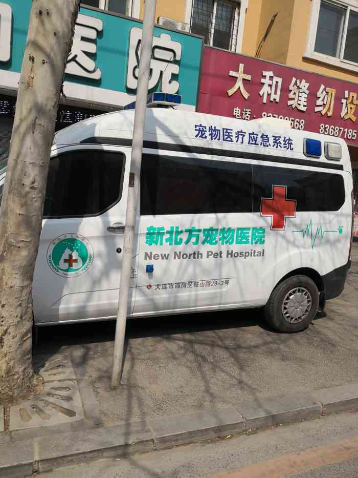 新北方宠物医院(鞍山路总院)