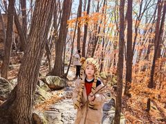 -五女峰国家森林公园