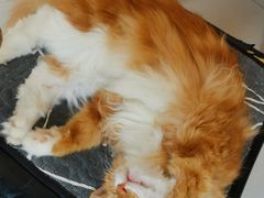 -平行世界·猫咖(首经贸店)