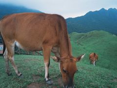 -天龙顶山地公园