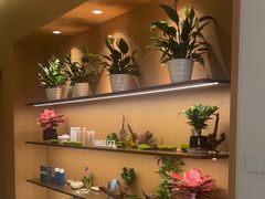 -泉·颂钵冥想·减压·疗愈SPA(前海店)