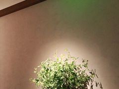 -山里亲戚(淞虹路店)