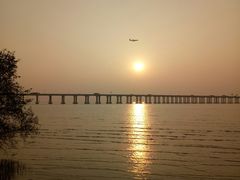 -宝安西湾红树林湿地公园