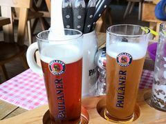 -Paulaner·德国帕拉娜自酿啤酒餐厅(海上世界店)