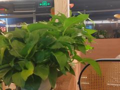 -三江两海老火锅(北京首店)