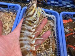 -吴记富苑(朝阳店)