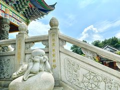 -铁山坪森林公园