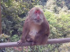 -峨眉山风景名胜区